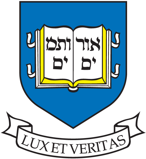 Yale Bulldogs 1972-2005 Alternate Logo DIY iron on transfer (heat transfer)